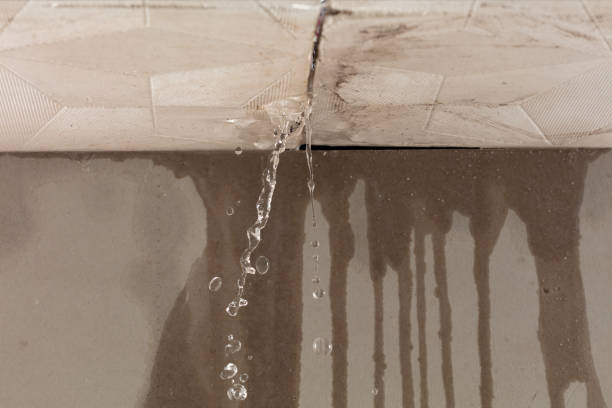 Professional Water Damage Inspection technician working in Zellwood, FL